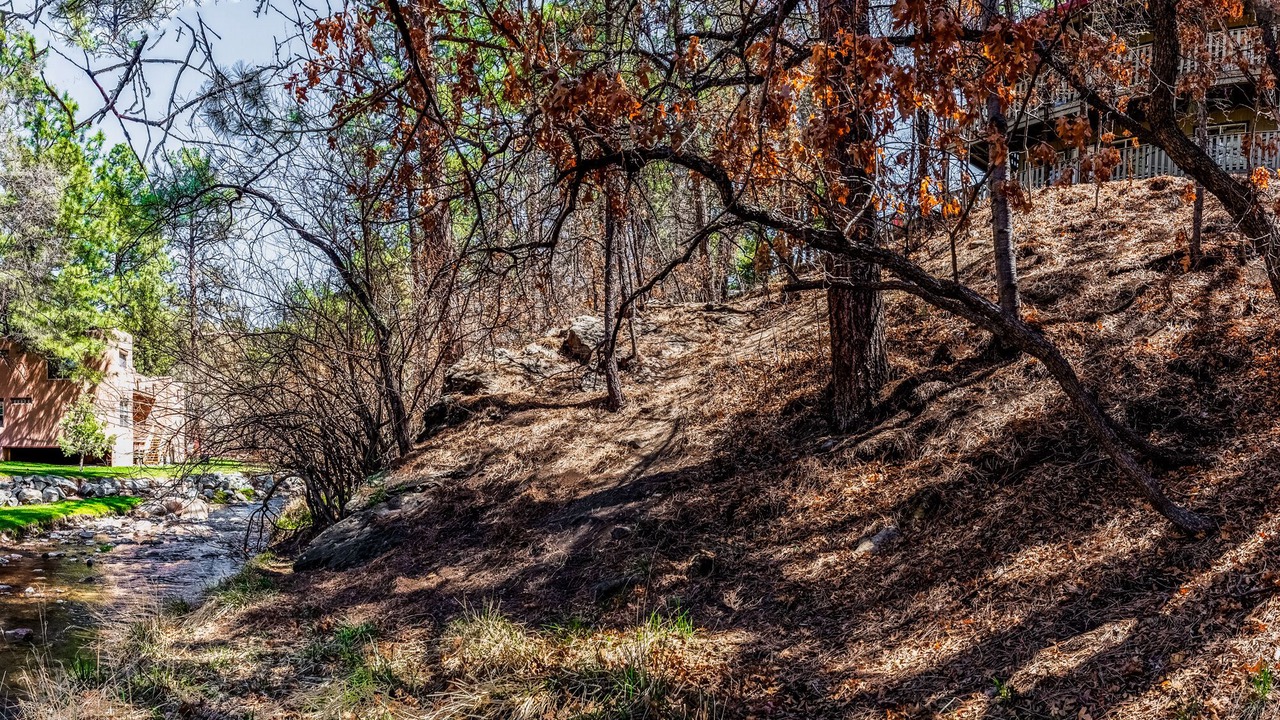 Photo of Others in Ruidoso