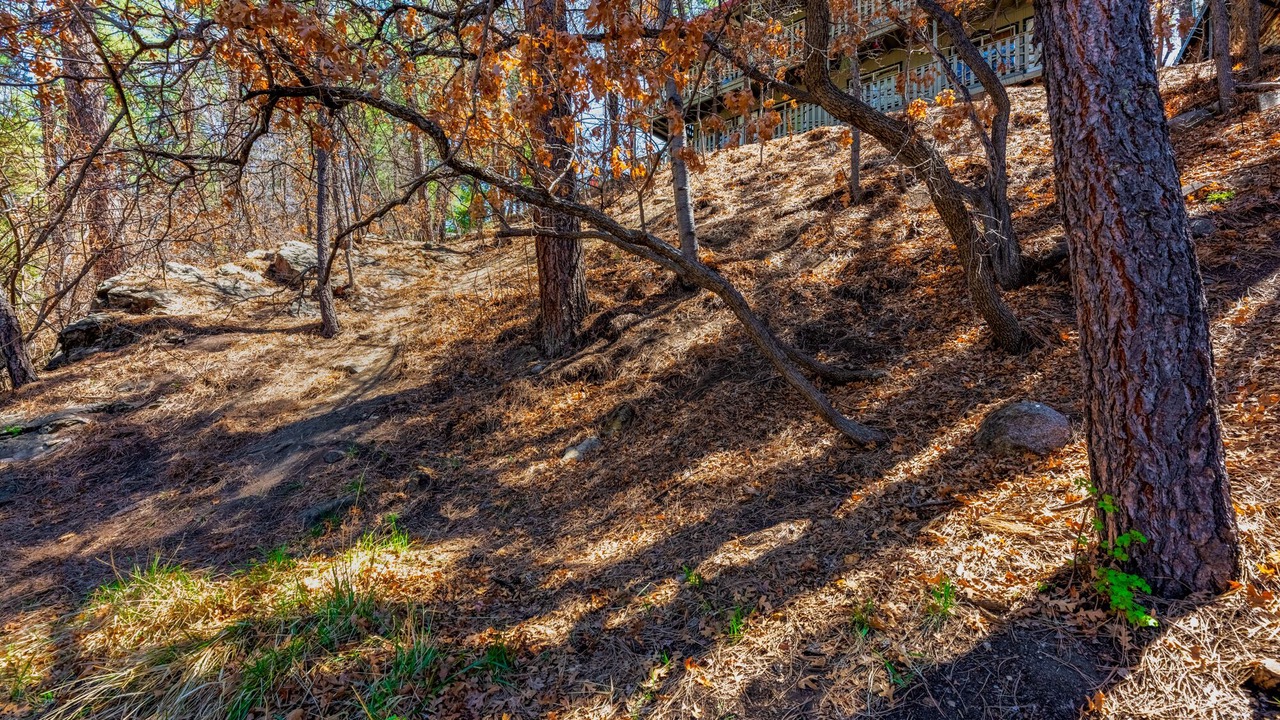 Photo of Others in Ruidoso