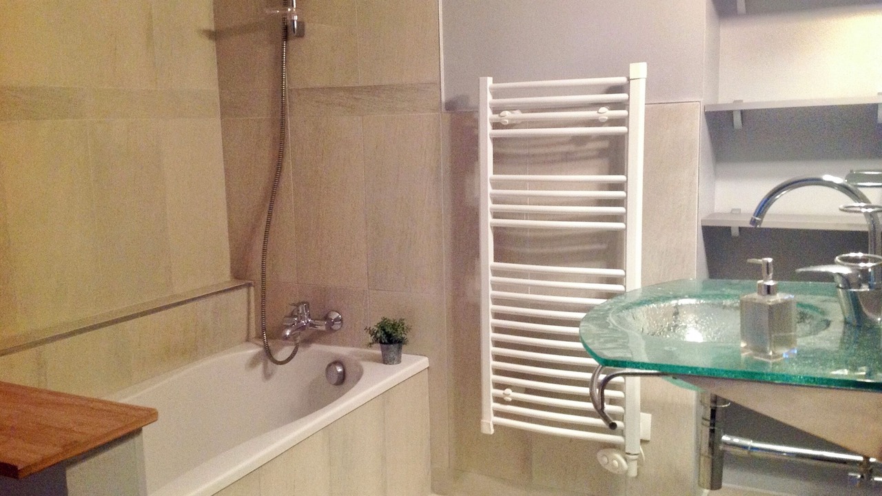 Photo of Bathroom in Saint-Cyprien