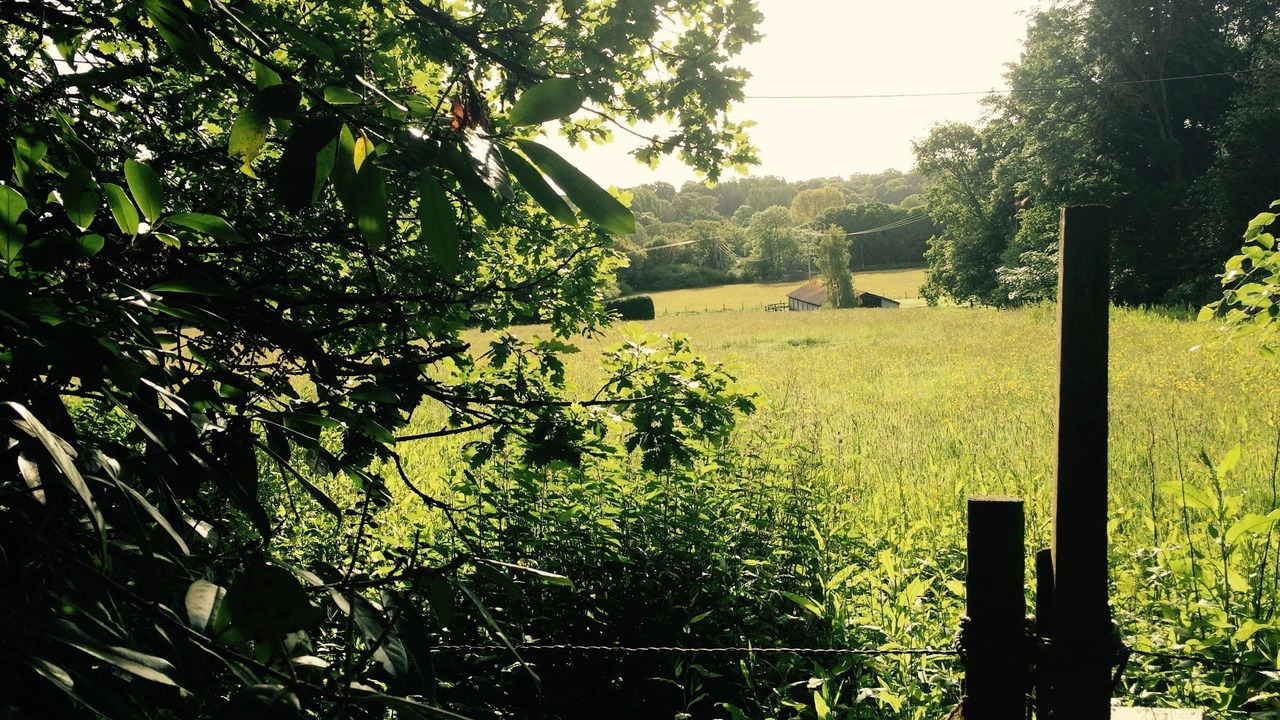 Photo of Others in Boldre