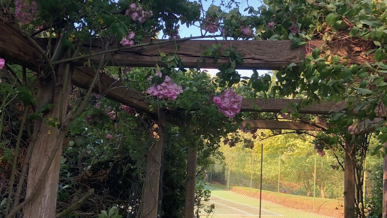 Photo of Outdoor in Boldre