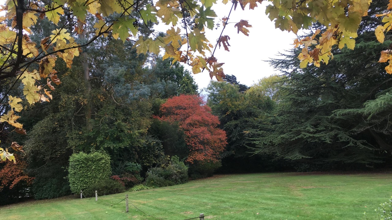 Photo of Bedroom in Boldre