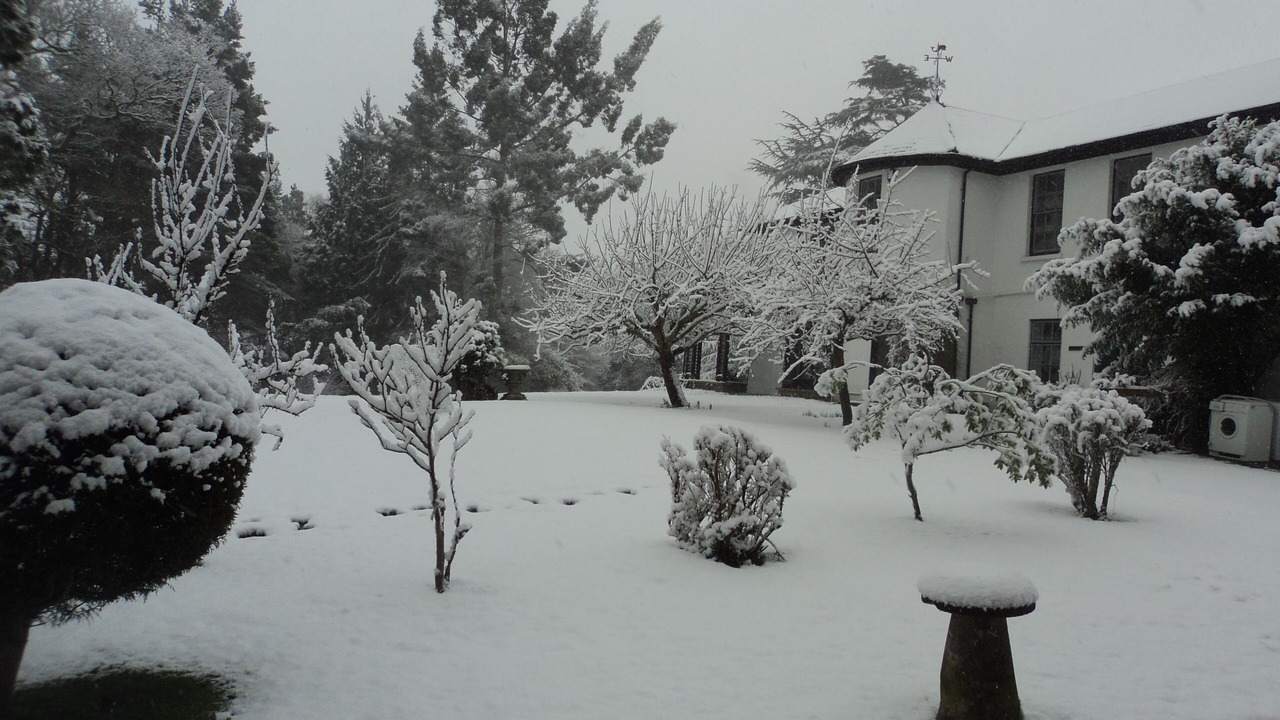 Photo of Others in Boldre