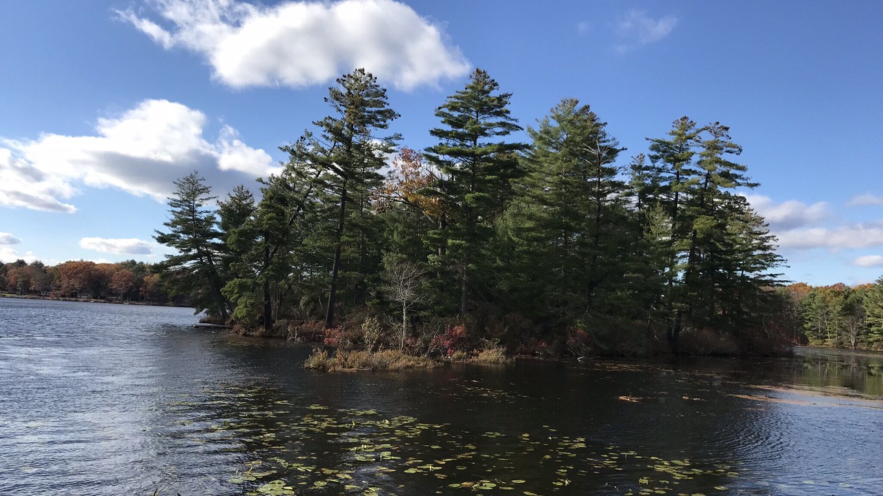 Photo of Others in Town of Lumberland