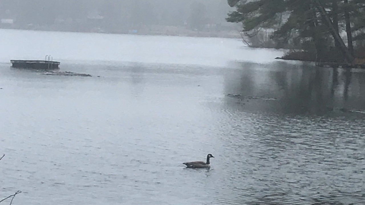 Photo of Others in Town of Lumberland