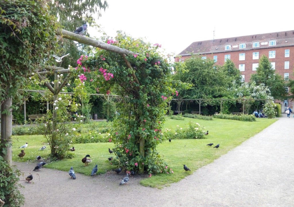 Photo of Buildings in København V