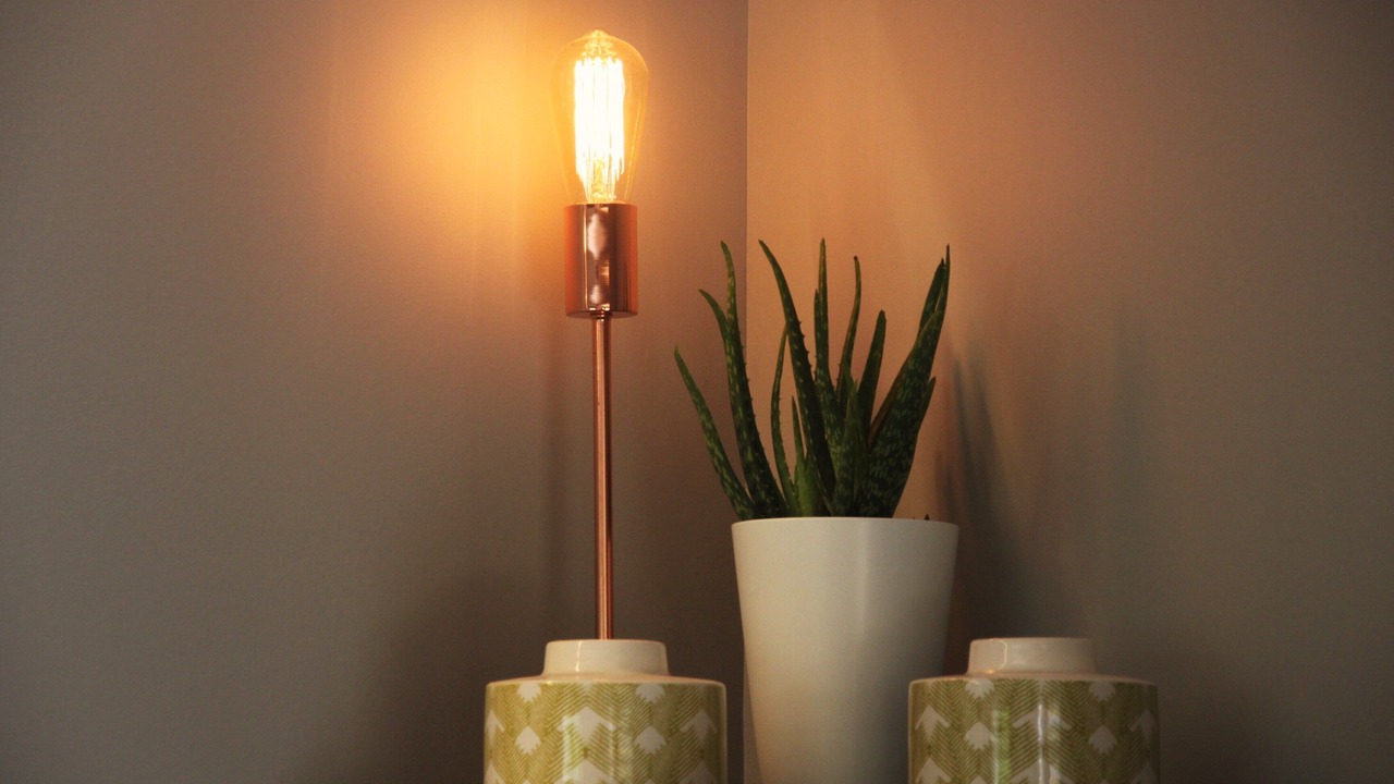 Photo of Others in Omex