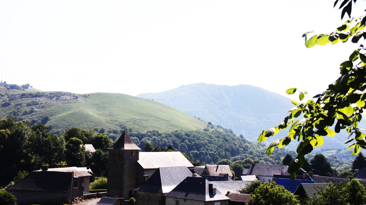 Photo of Outdoor in Omex