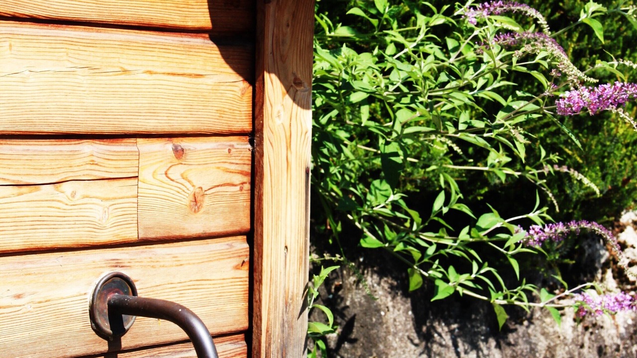 Photo of Outdoor in Omex