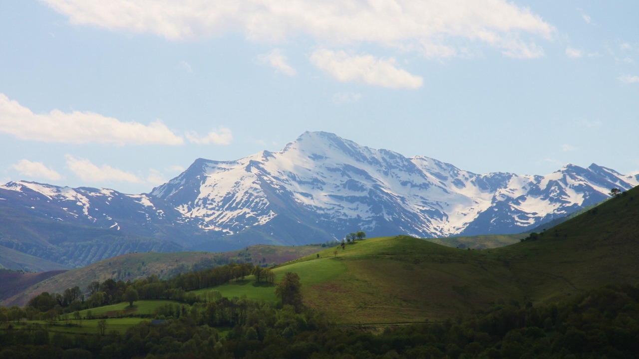 Photo of Others in Omex