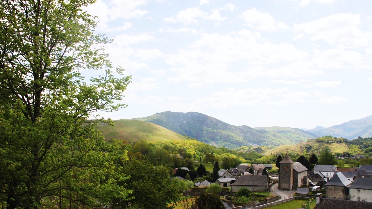 Photo of Others in Omex