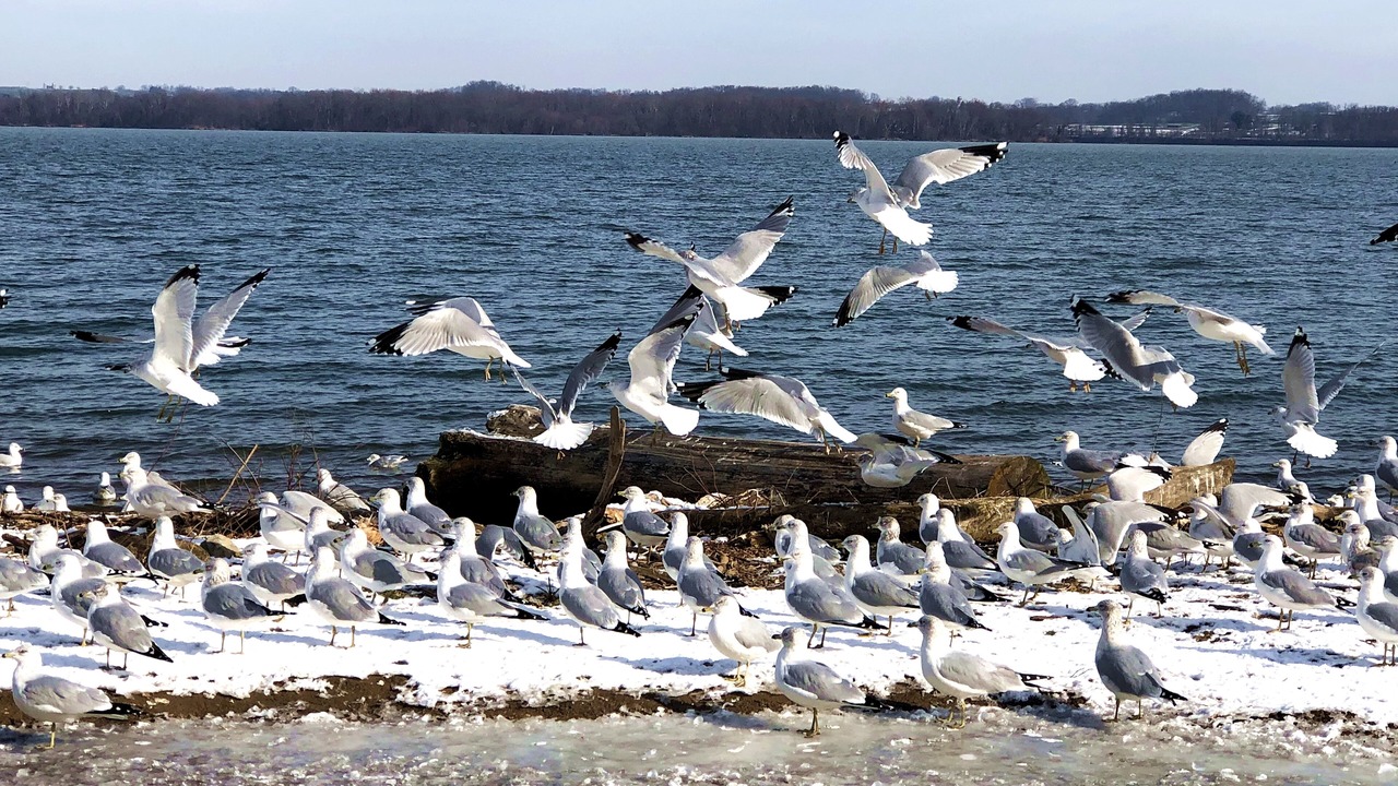 Photo of Others in Wrightsville