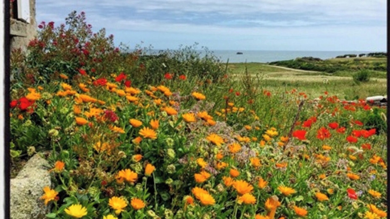Photo of Outdoor in Ile-de-Batz