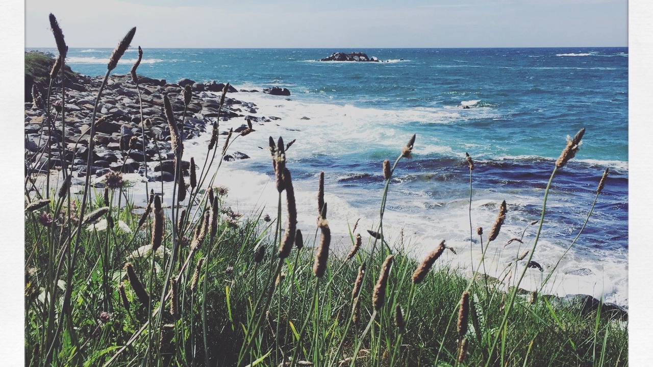 Photo of Others in Ile-de-Batz