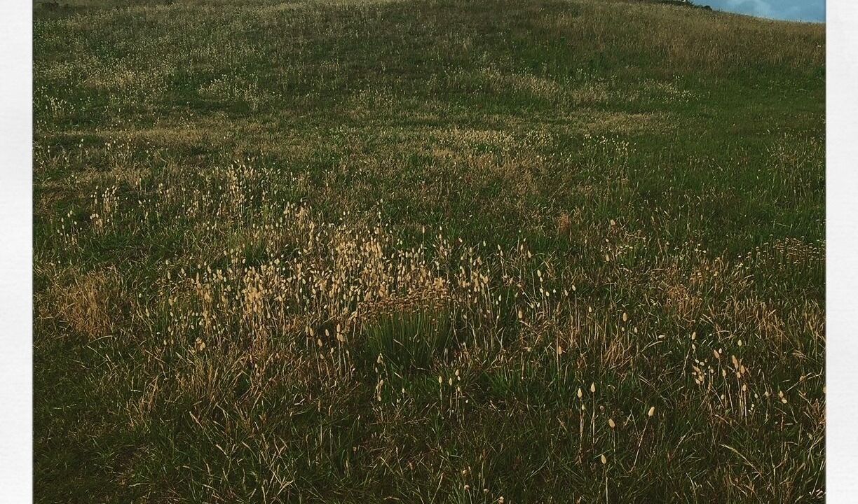 Photo of Outdoor in Ile-de-Batz