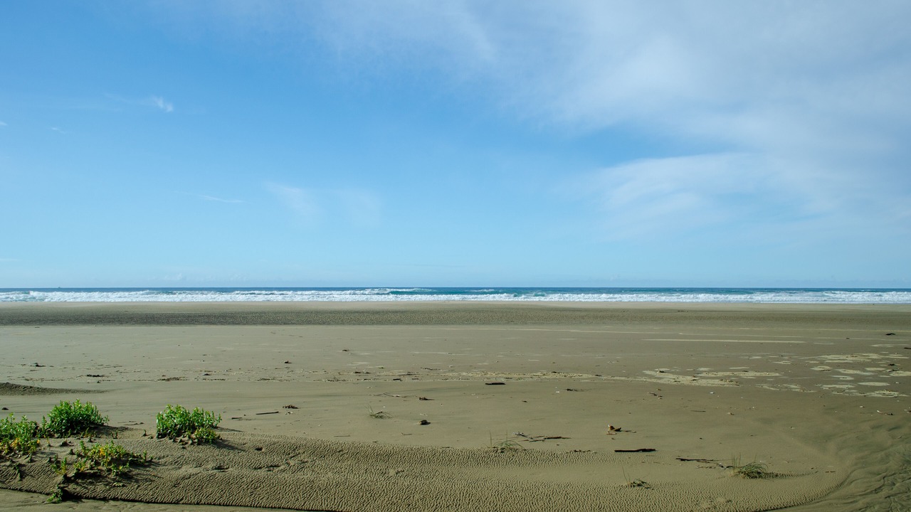 Photo of Others in Waldport