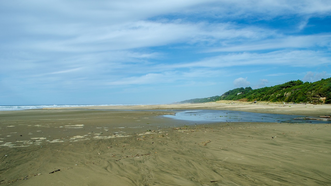 Photo of Others in Waldport