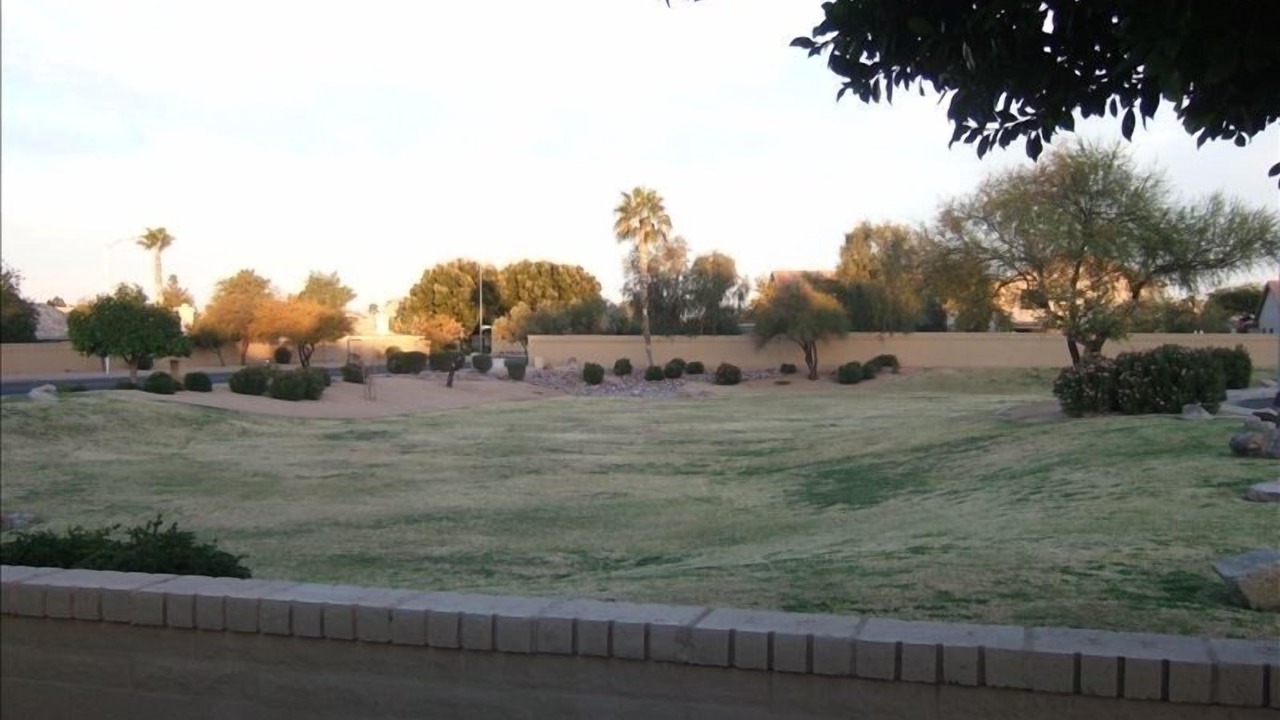 Photo of Others in Alta Mesa