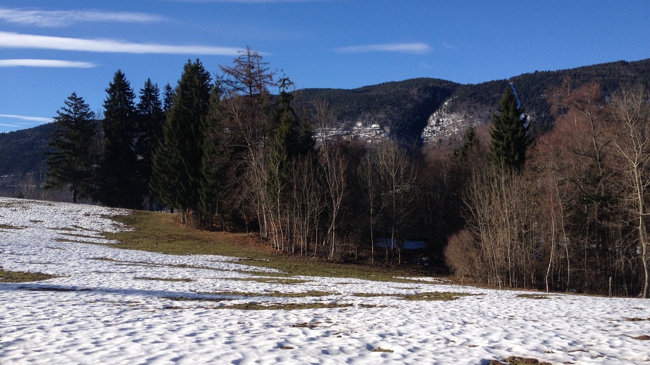 Photo of Others in Leschaux