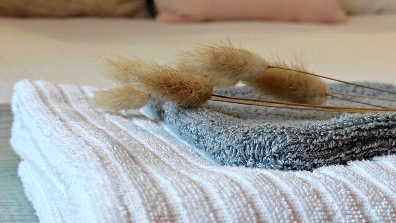 Photo of Bedroom in La Richardais