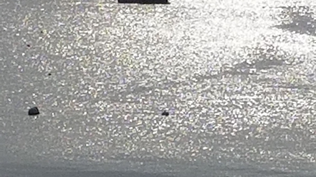 Photo of Others in Winthrop