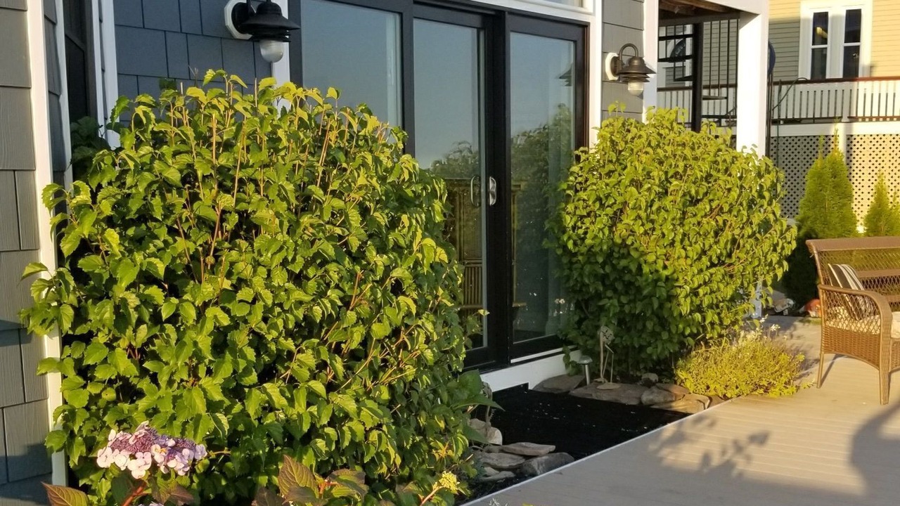 Photo of Others in Winthrop