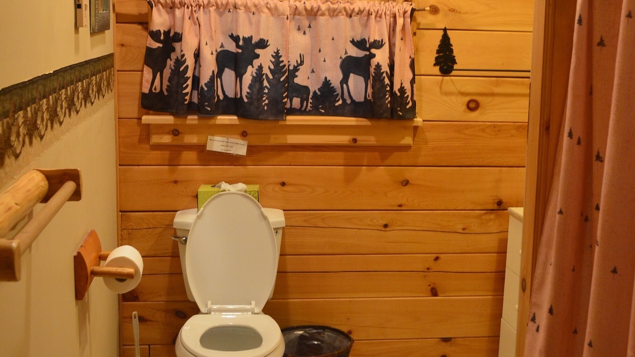 Photo of Bathroom in Town of Webb