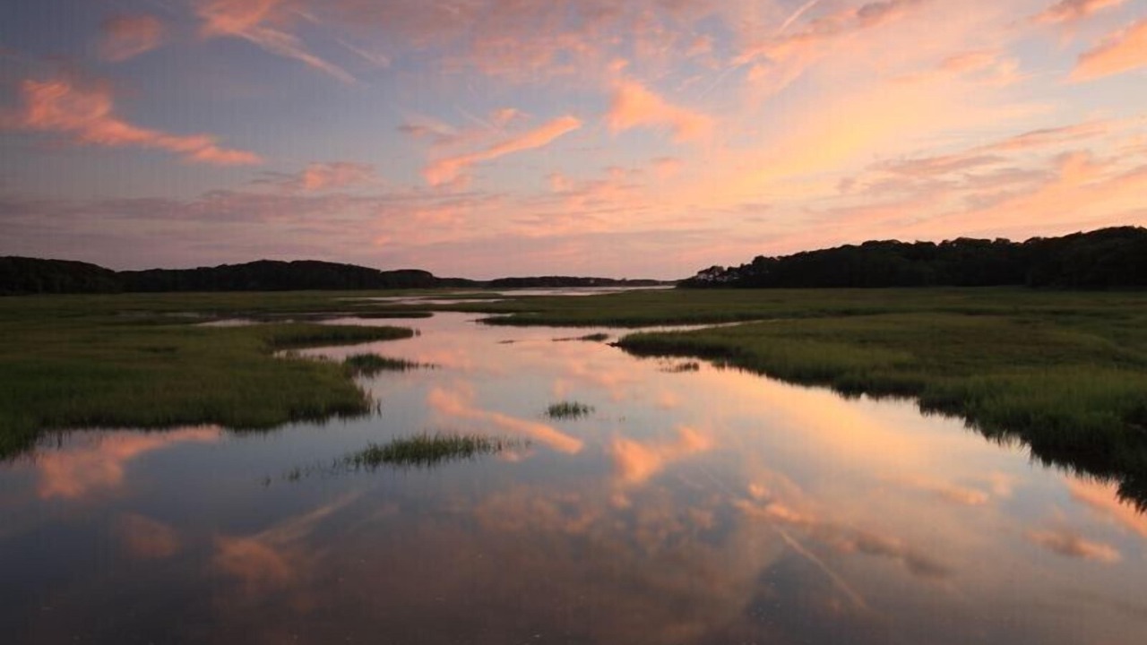 Photo of Others in Wellfleet