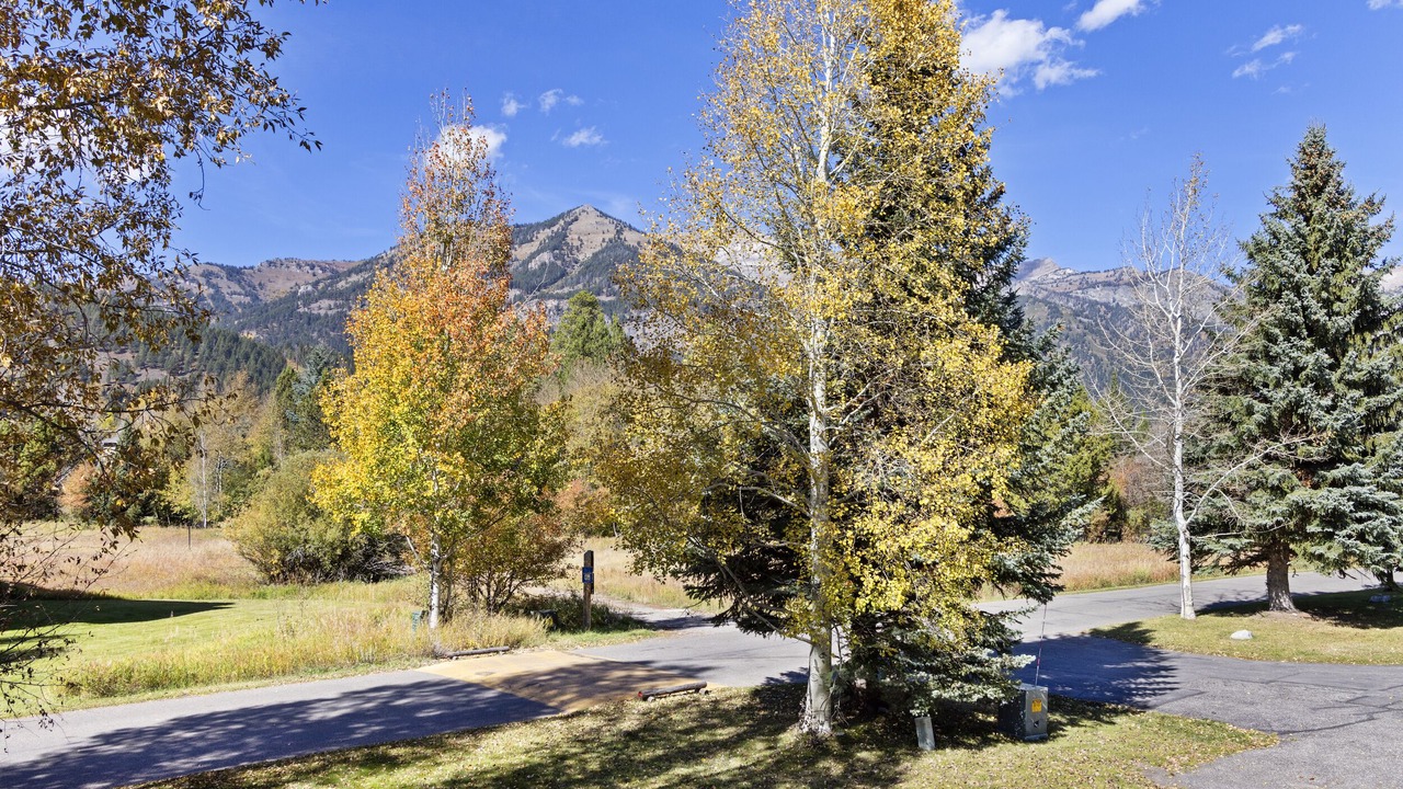 Photo of Others in Moose Wilson Road