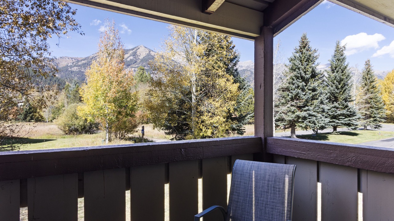 Photo of Others in Moose Wilson Road