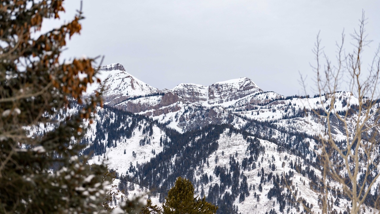 Photo of Others in Moose Wilson Road