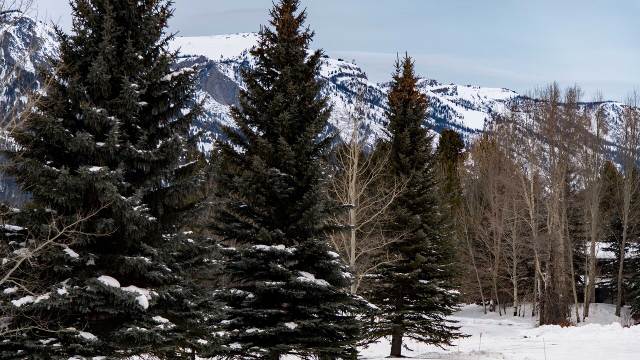 Photo of Others in Moose Wilson Road