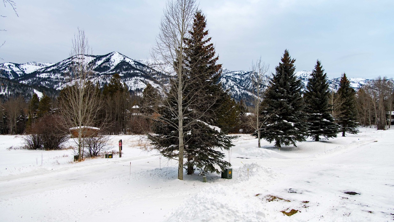 Photo of Others in Moose Wilson Road