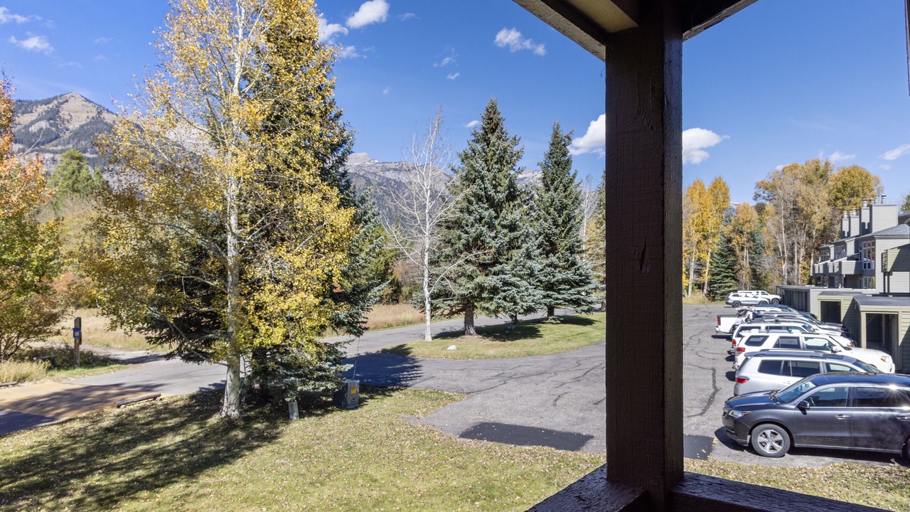 Photo of Others in Moose Wilson Road