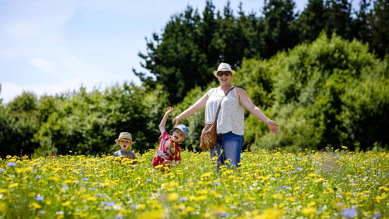 Photo of Others in Sandown