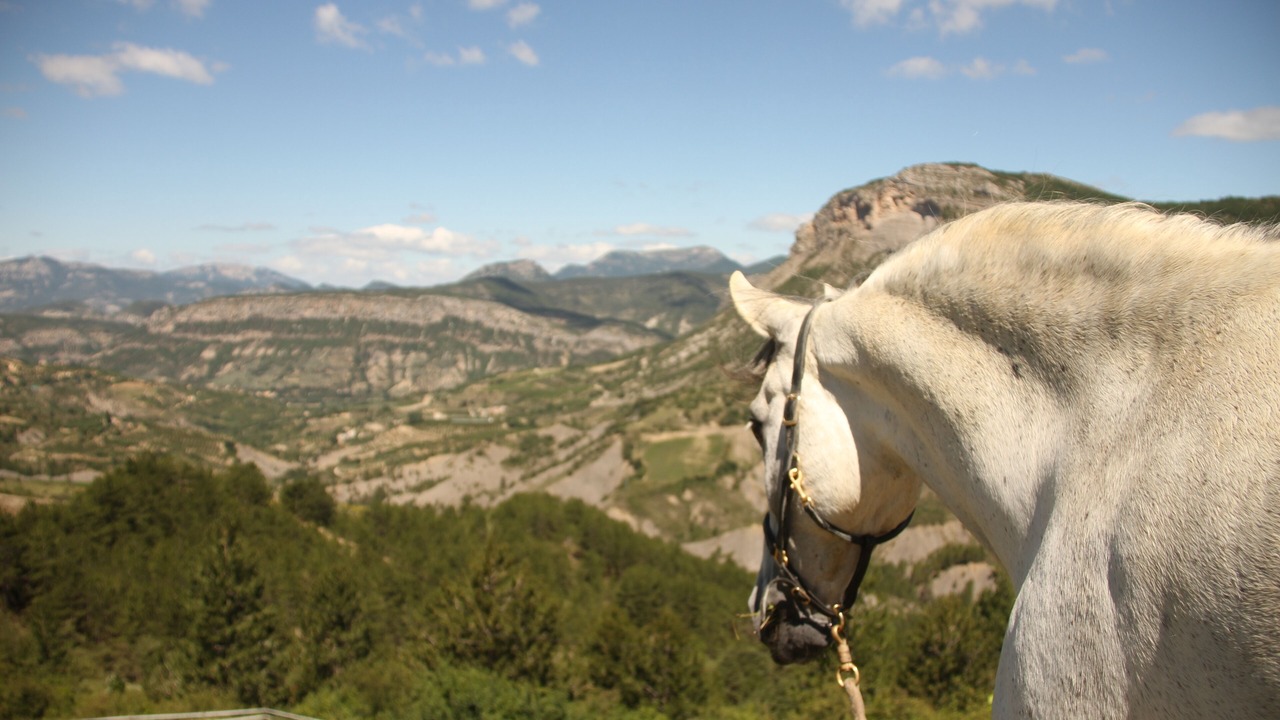 Photo of Others in Montreal-les-Sources