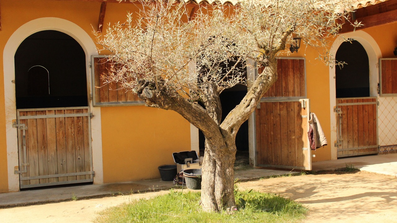 Photo of Outdoor in Montreal-les-Sources