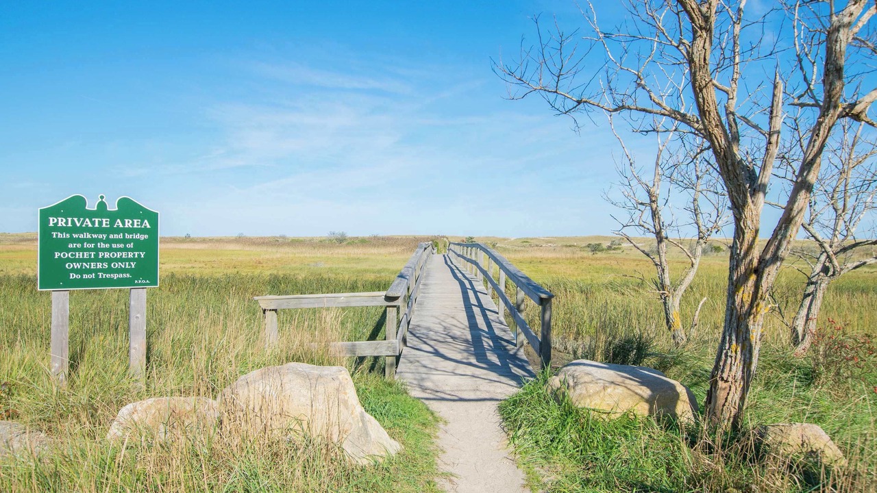 Photo of Others in East Orleans