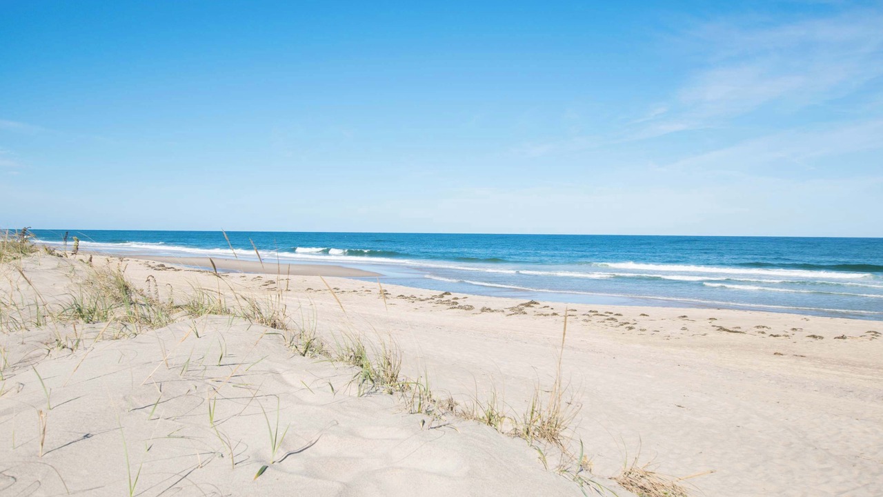 Photo of Others in East Orleans