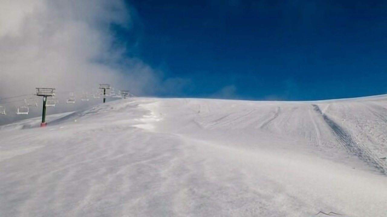 Photo of Others in Hotham Heights