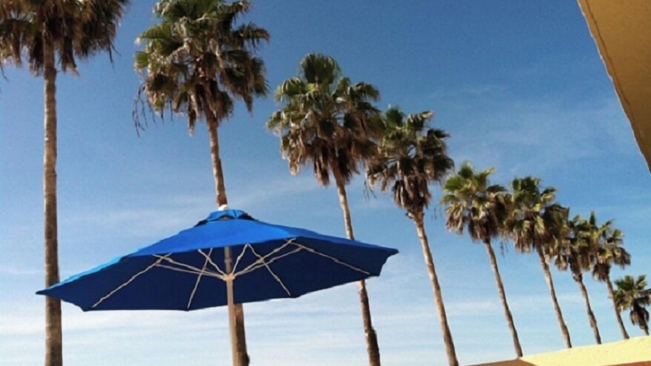 Photo of Others in Longboat Key