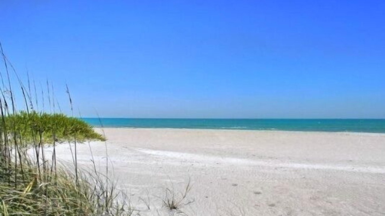 Photo of Others in Longboat Key