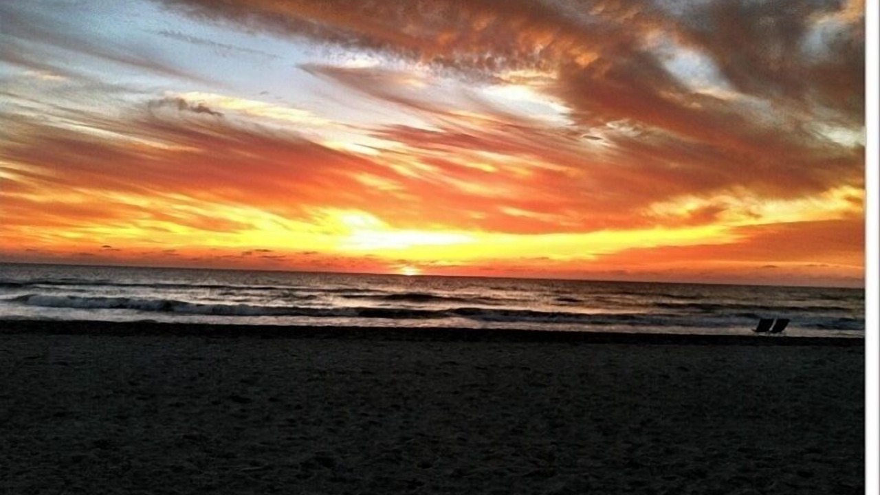 Photo of Others in Longboat Key