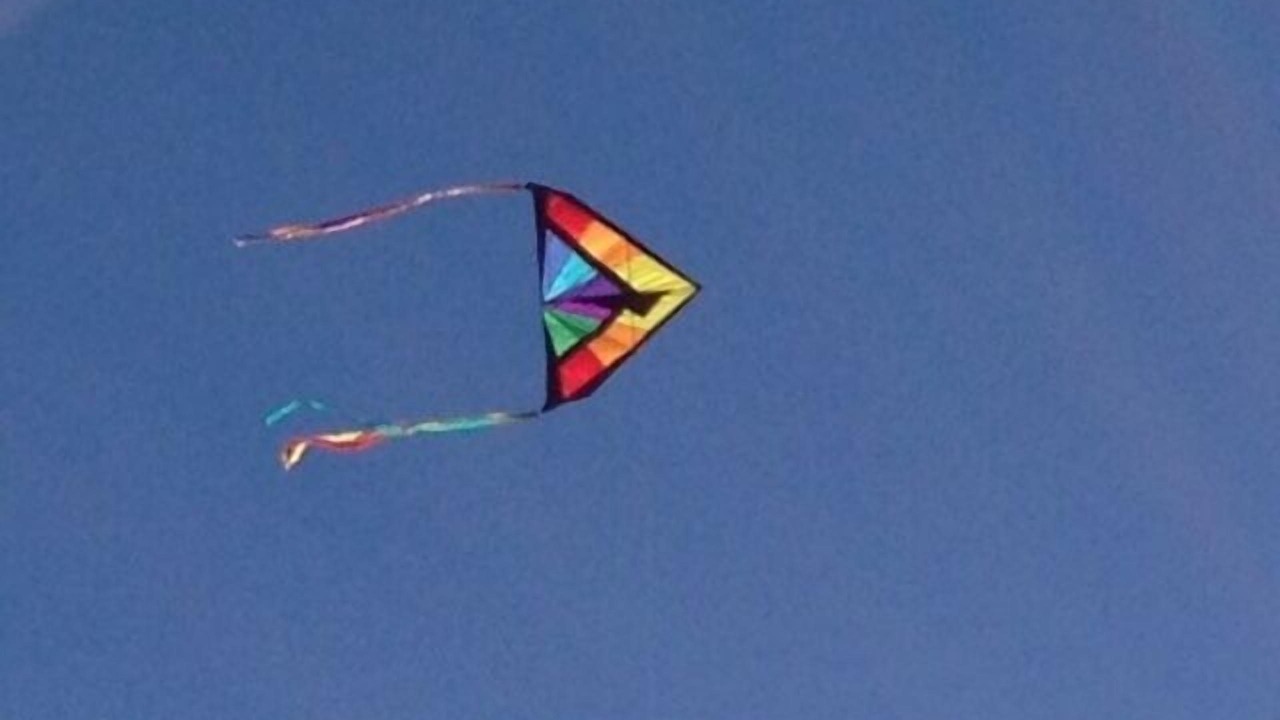 Photo of Others in Longboat Key