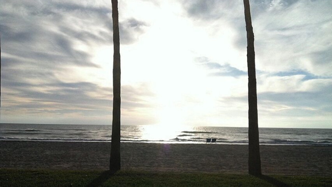 Photo of Others in Longboat Key