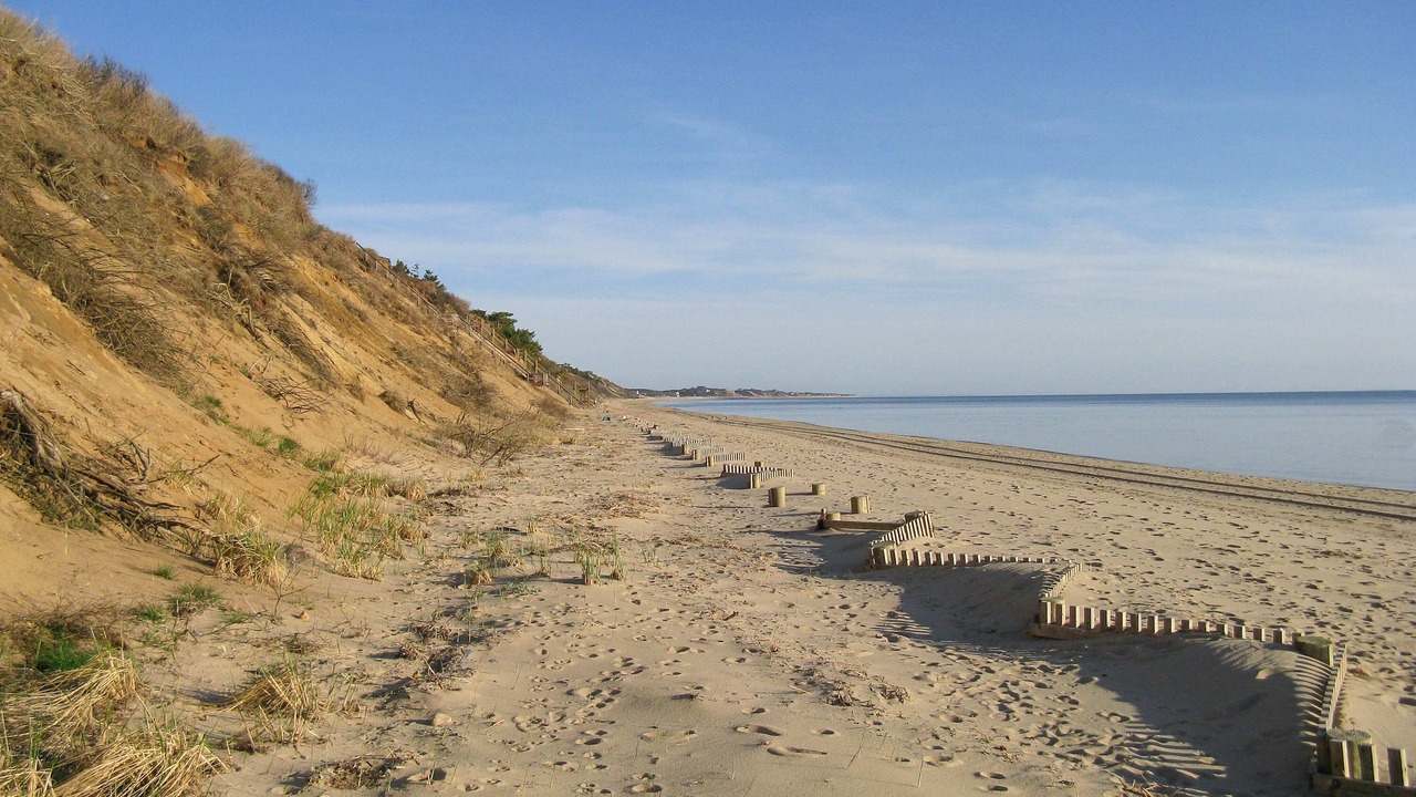 Photo of Others in Truro