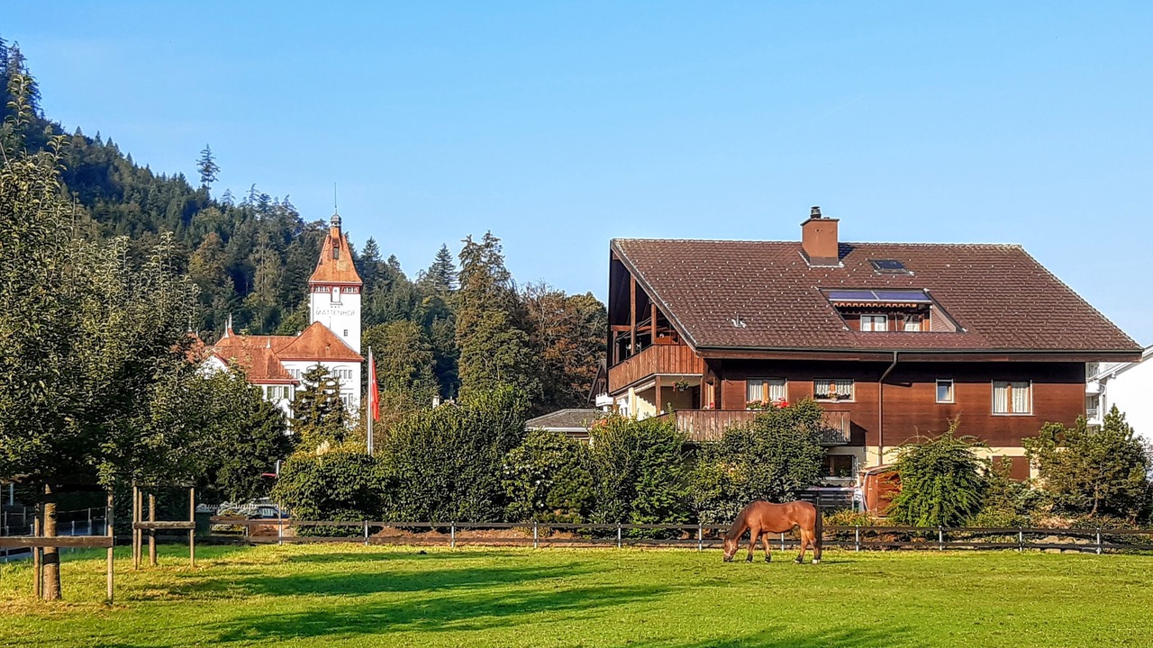 Photo of Others in Matten bei Interlaken