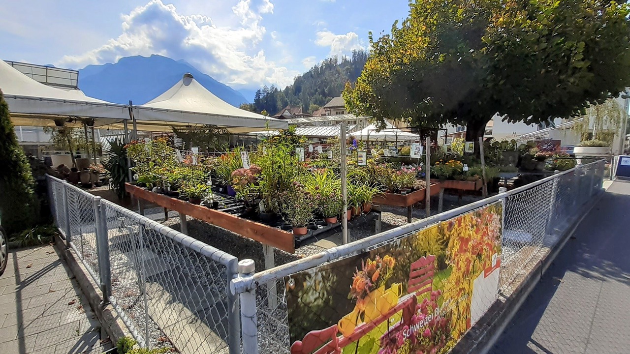 Photo of Outdoor in Matten bei Interlaken