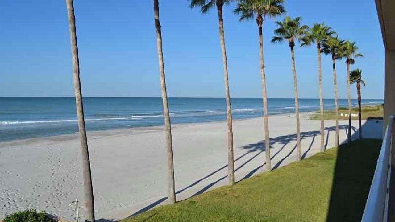 Photo of Others in Longboat Key