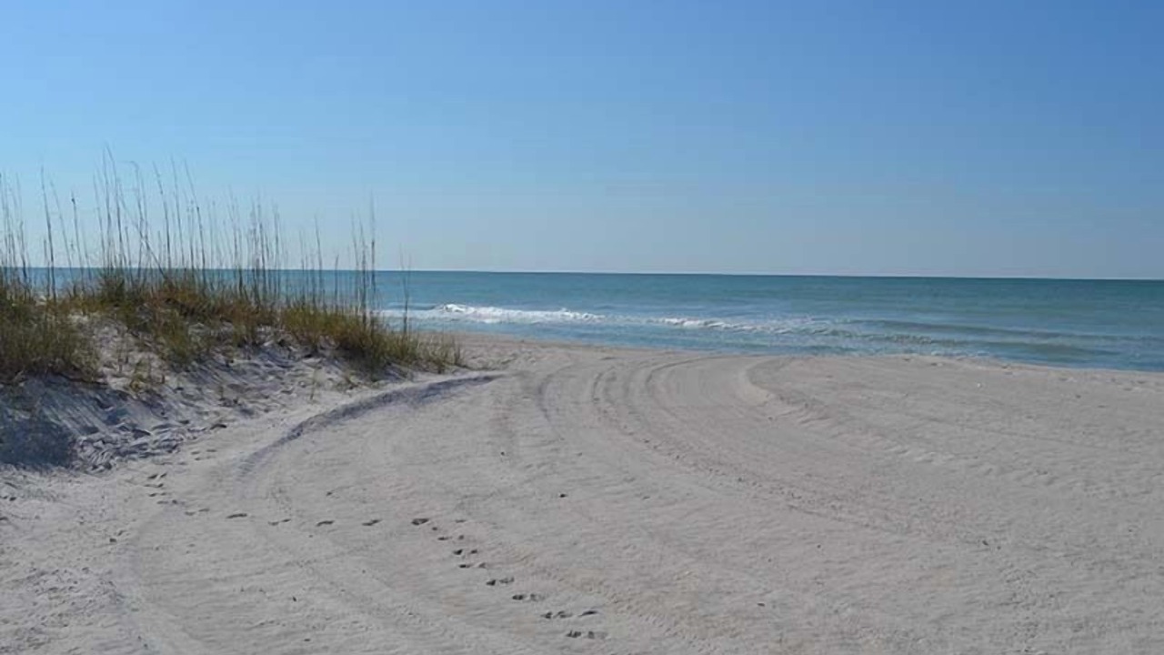 Photo of Others in Longboat Key